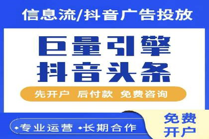 某电商平台的SEM策略与效果展示